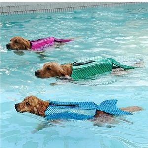 New Life Vest for Small Dog